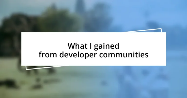 What I gained from developer communities