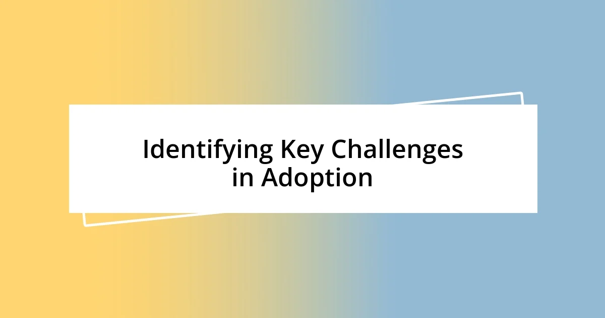 Identifying Key Challenges in Adoption