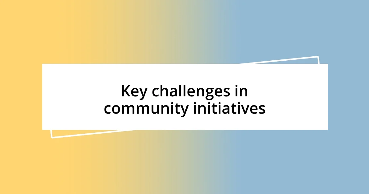 Key challenges in community initiatives