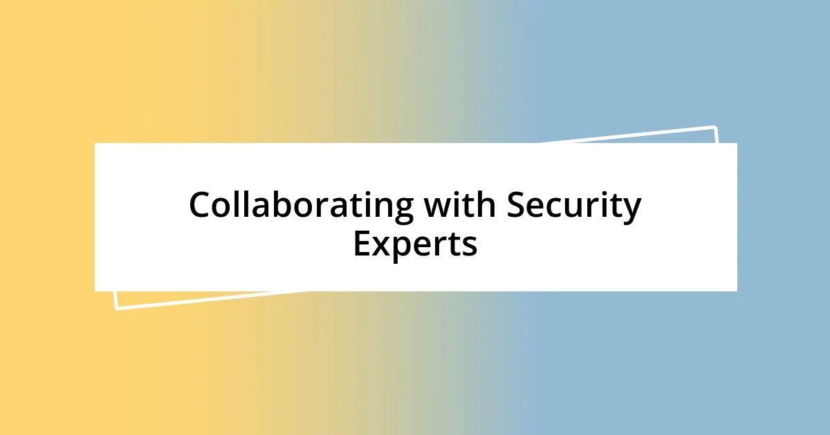 Collaborating with Security Experts